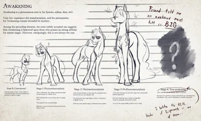 awaken.jpg